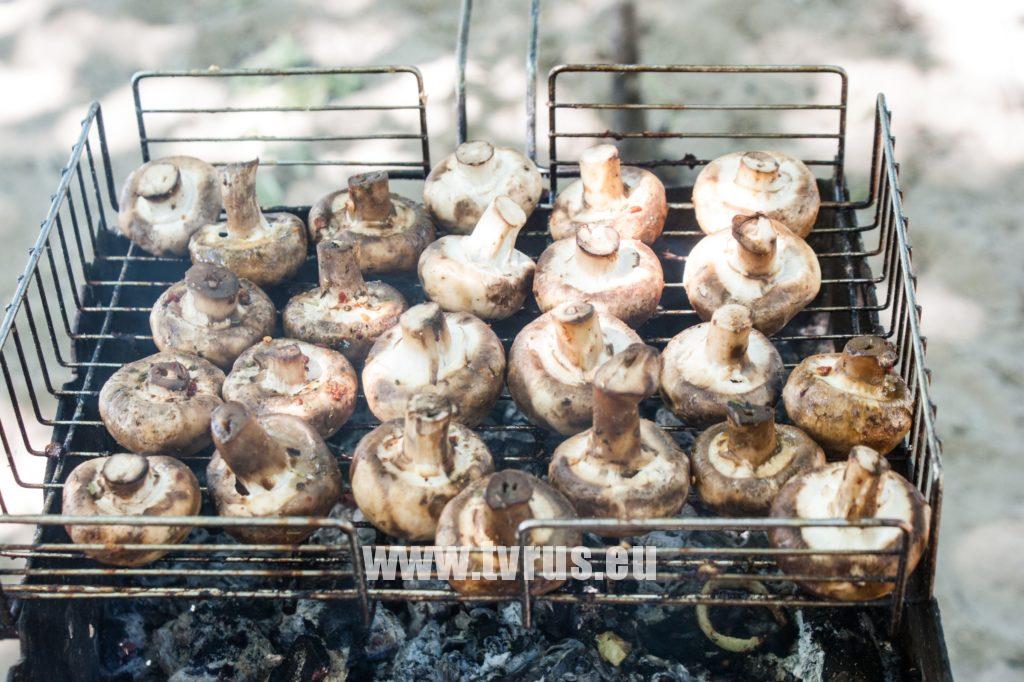 Шашлык из шампиньонов, маринованных в майонезе на мангале — рецепт с фото пошагово + отзывы