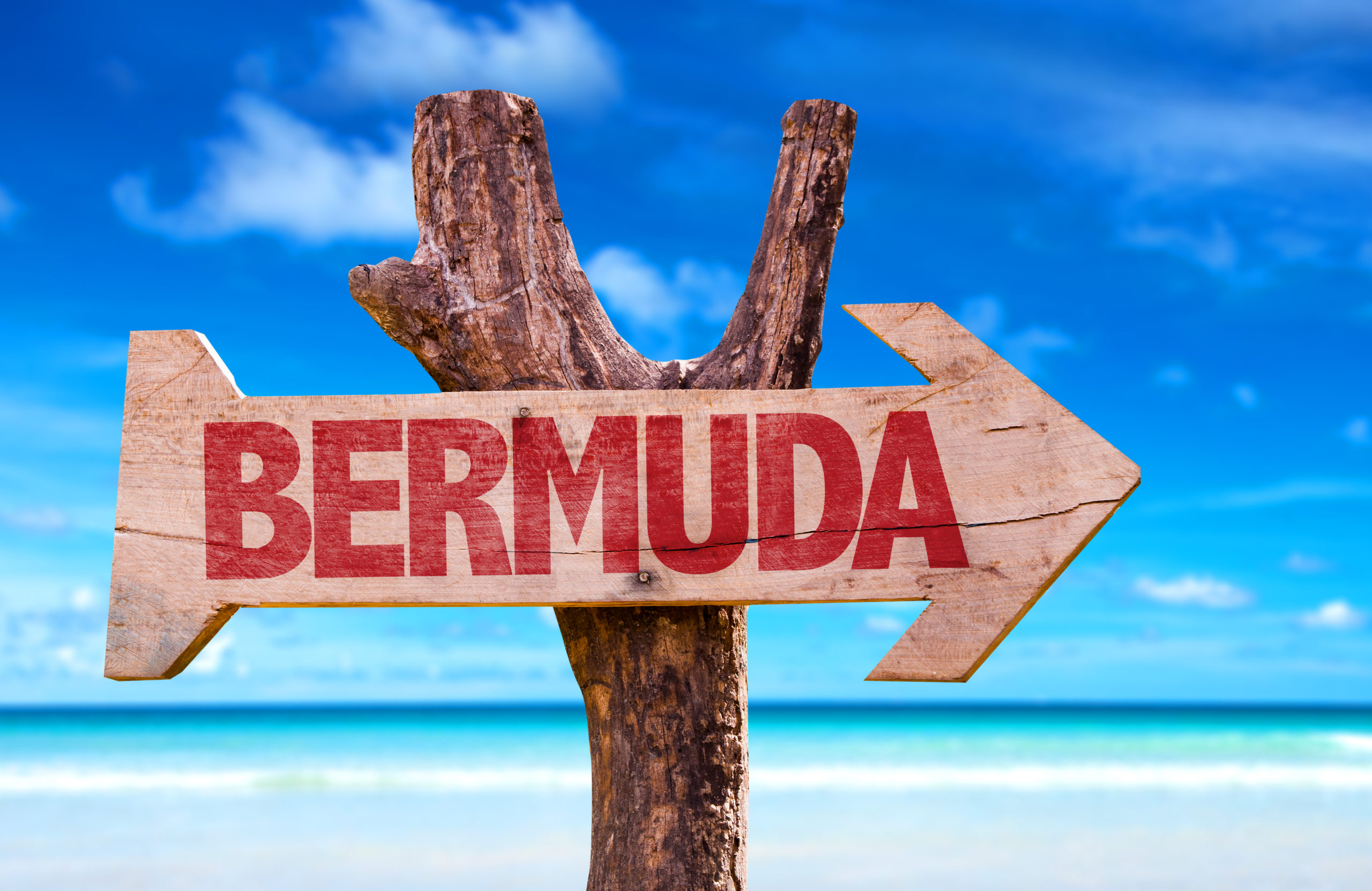 bermud