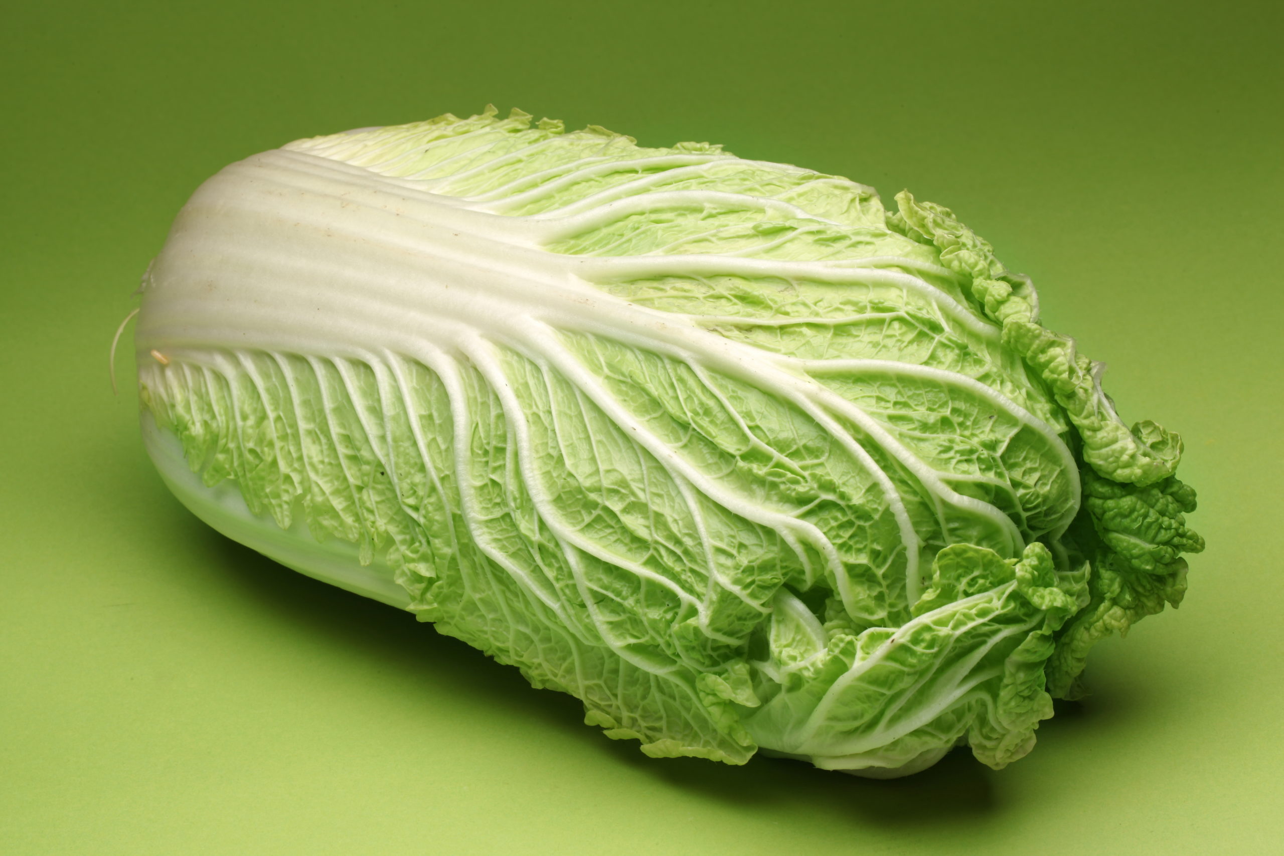 Cabbage