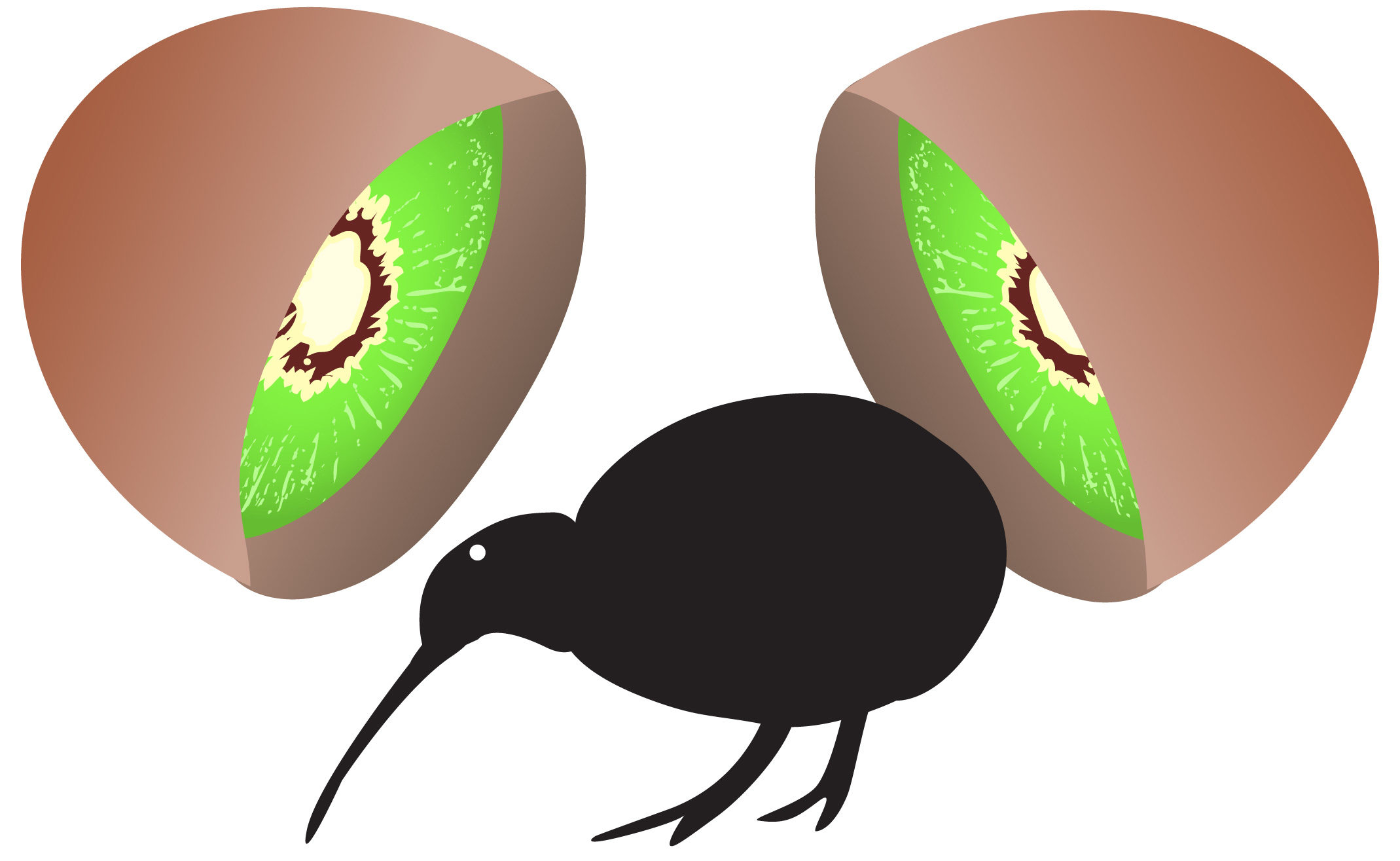 Kiwi-Bird