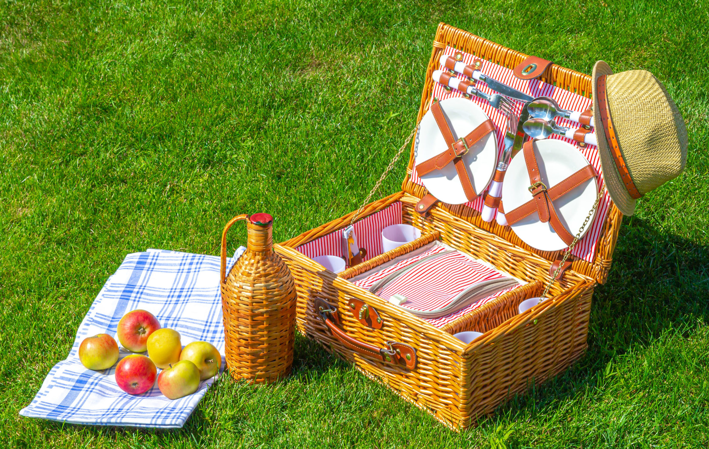 Picnic-concept