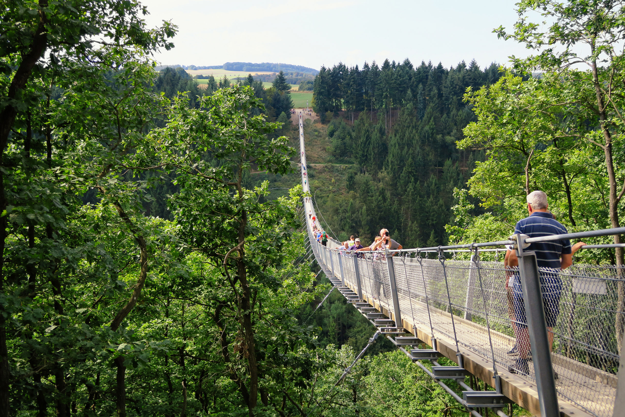 Bridge-Geierlay-1