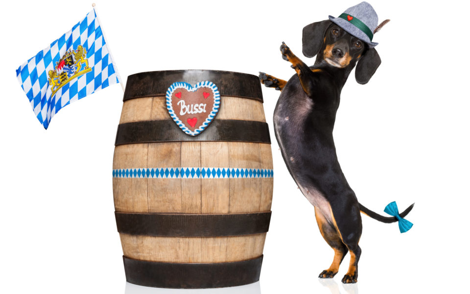 Bavarian-Beer-Dog