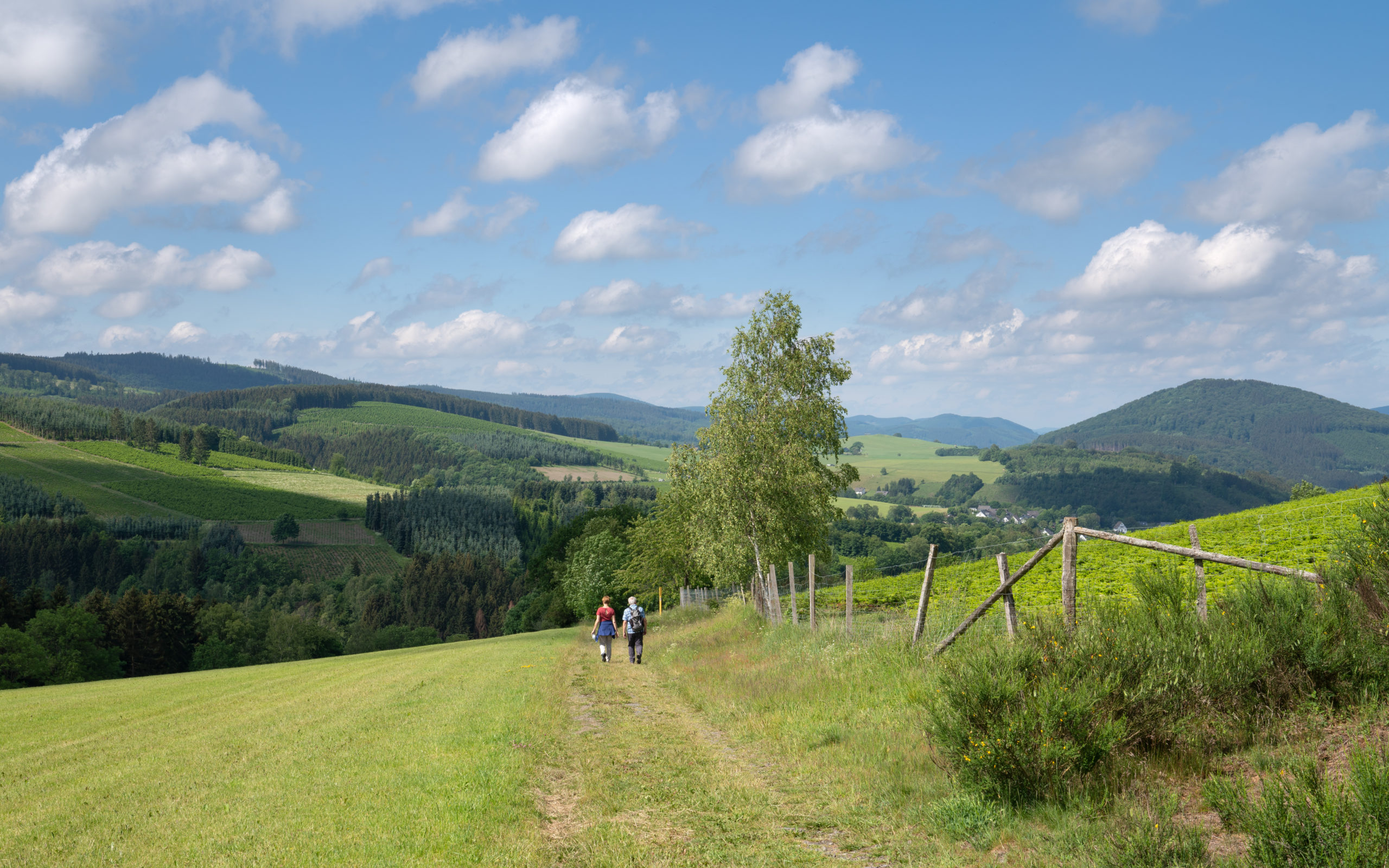 Winterberg