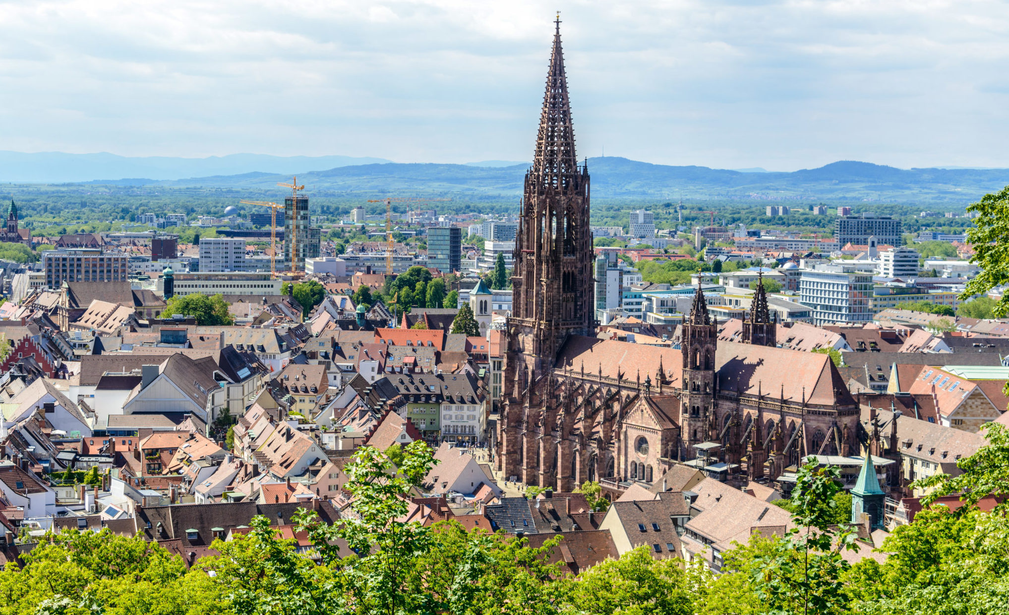 Freiburger-Cathedral