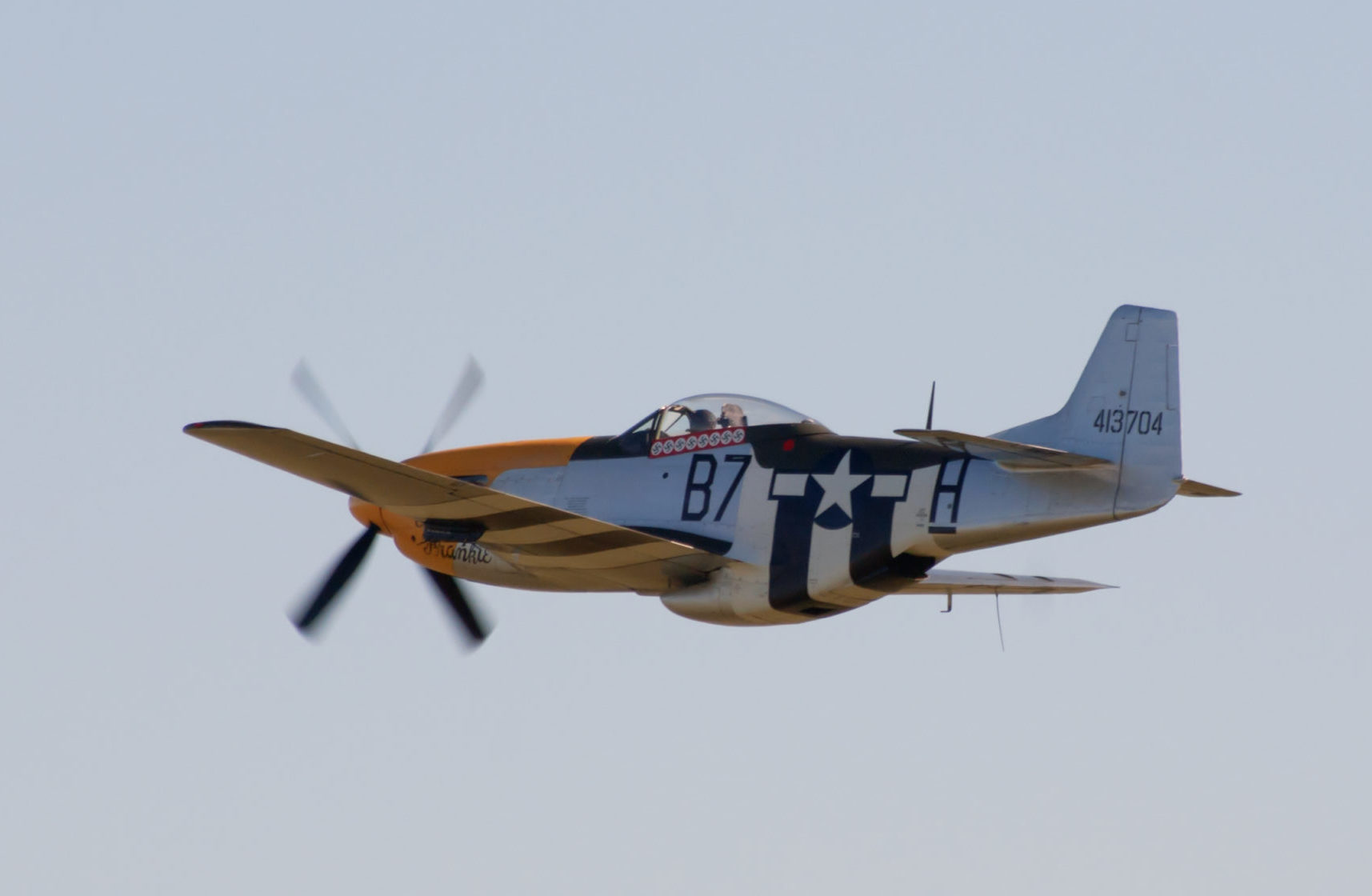 Mustang-p51