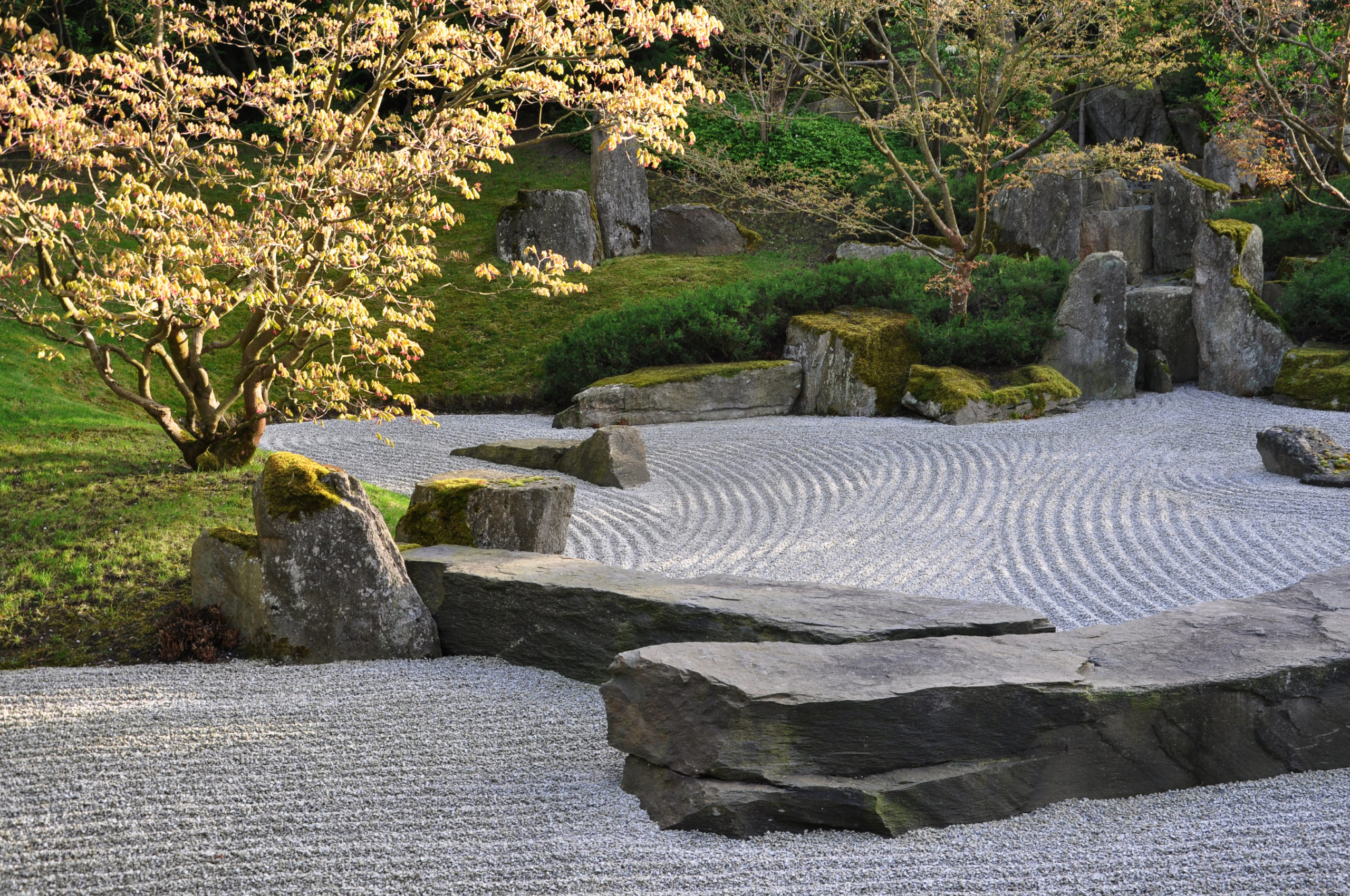 Japanese garden