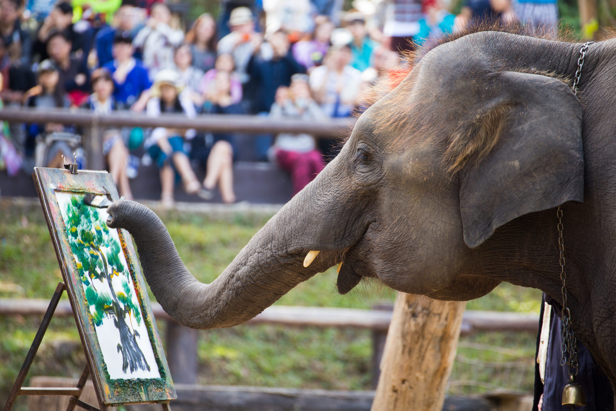 Elephant Painting