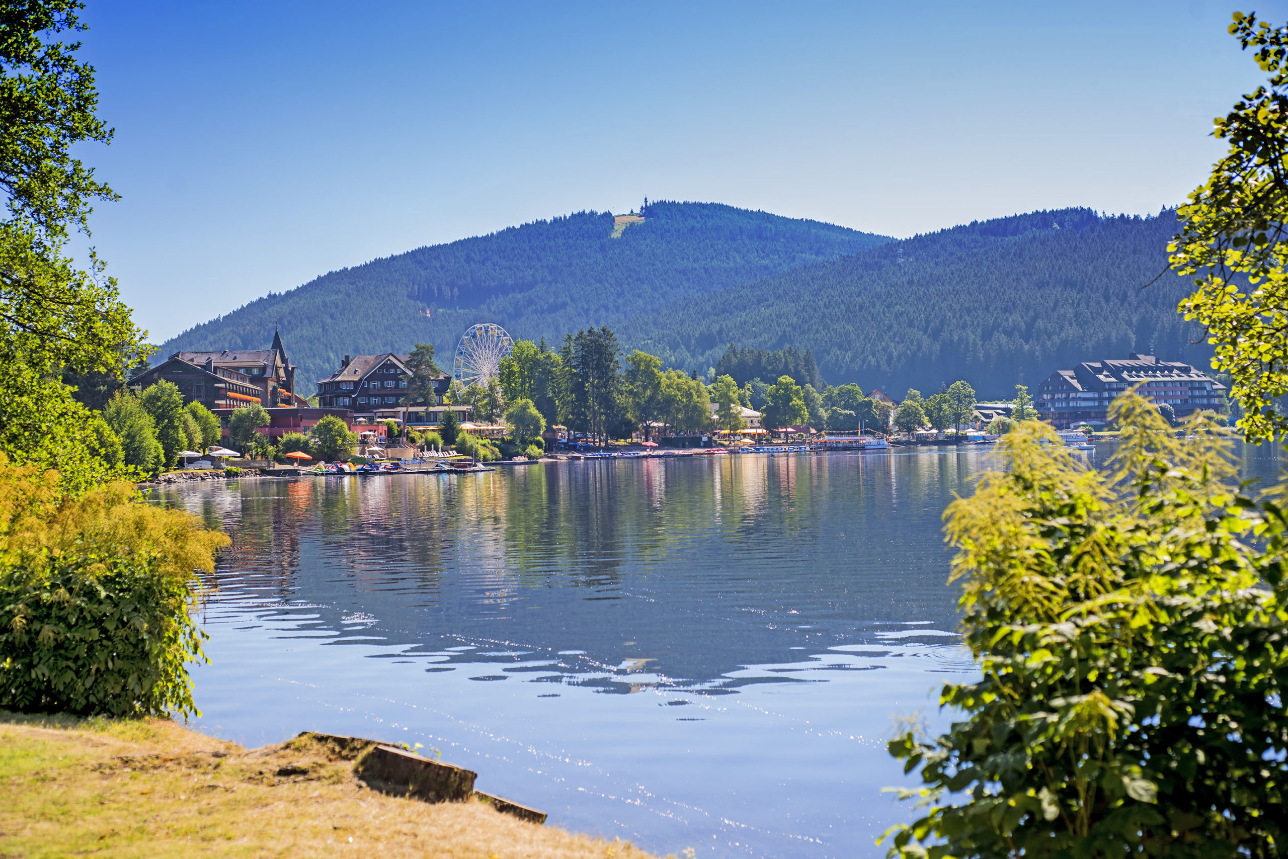 Titisee титизее