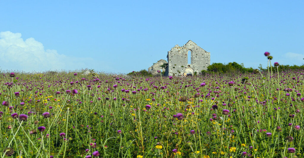 Sasko-jezero Montenegro