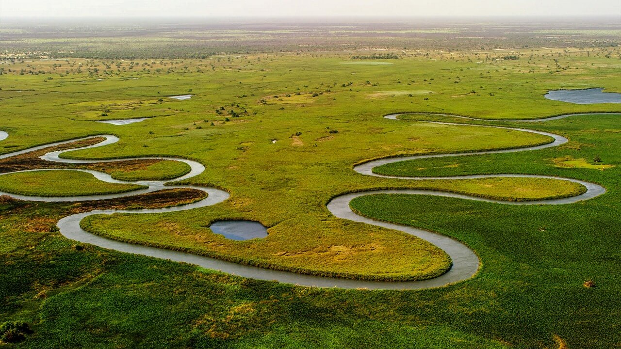 okavango